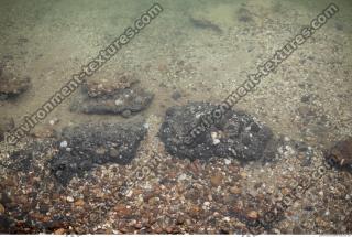 Photo of Mixed Textures